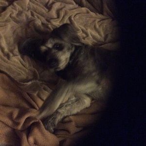 Meet your Posher, Nnicholas